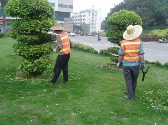 園林綠化施工、養(yǎng)護(hù),草皮銷售及種植,園區(qū)、市政等改造工程