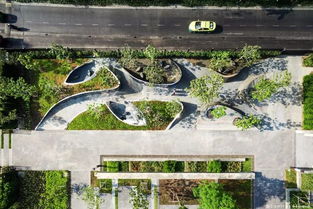 建筑長(zhǎng)得丑,全靠樹來(lái)湊