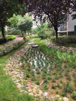 提高海綿城市建設(shè)工程質(zhì)量青島市舉辦施工人員培訓會|半島網(wǎng)