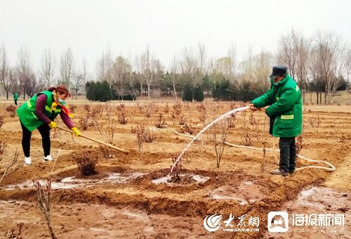 青州市園林綠化和環(huán)衛(wèi)中心 壓實疫情防控安全線 拉緊綠化養(yǎng)護進度條
