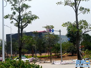 中南濱江銘悅 營(yíng)銷中心已初步建成 工地火熱施工