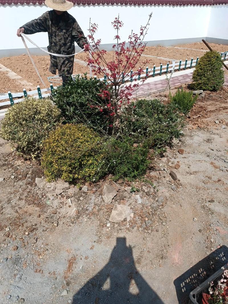 單位綠化施工現(xiàn)場管理與園林景觀工程實踐