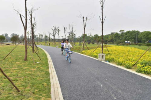 綿陽再添綠色新名片 大型公園試開園，園林綠化工程圓滿竣工